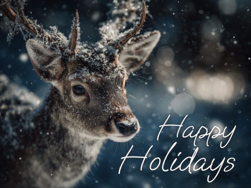 eCard  Christmas  3 Front