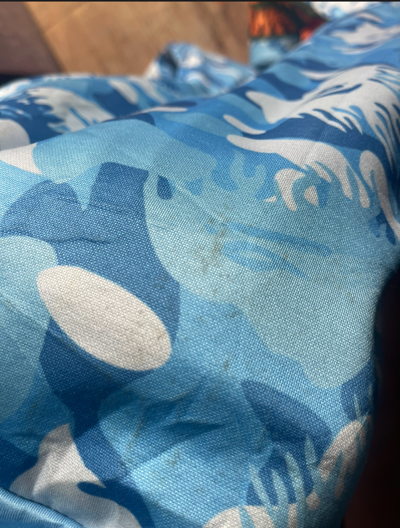 Another view of Bape hoodie