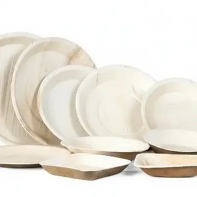 Eco-Friendly Areca Palm Leaf Dinnerware Set