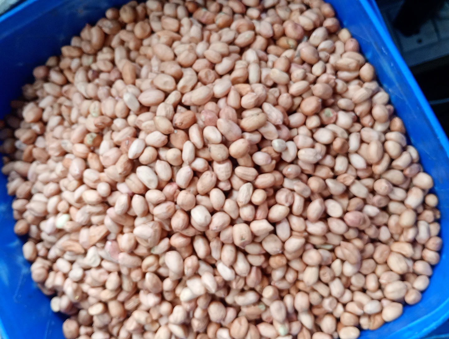 peanuts
