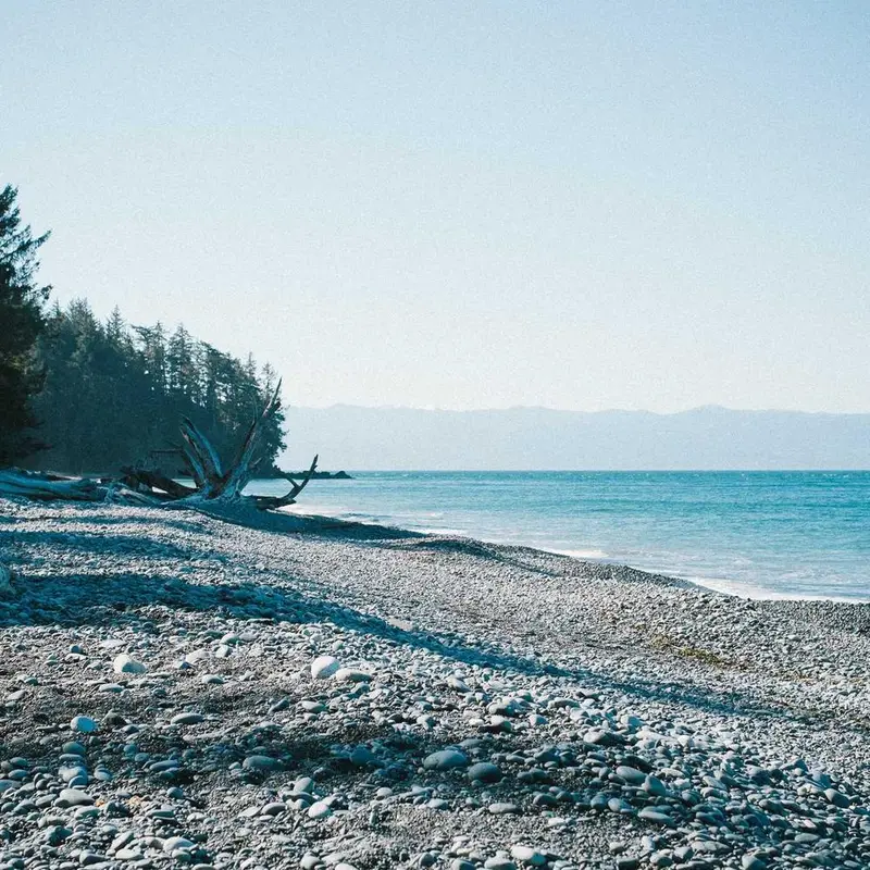Driftwood Shore — photo 2