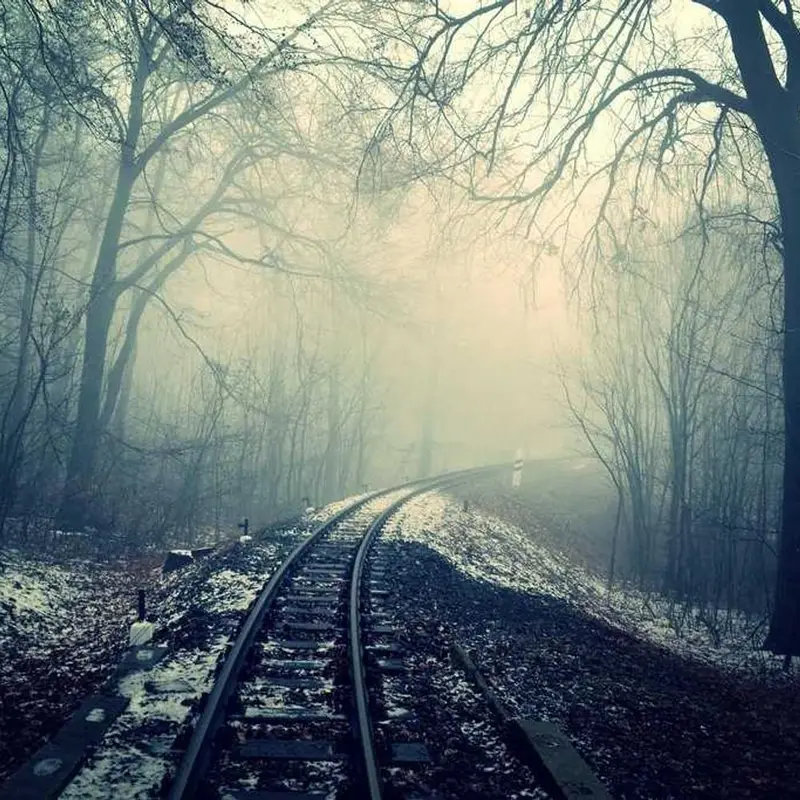 Misty Pines — photo 2