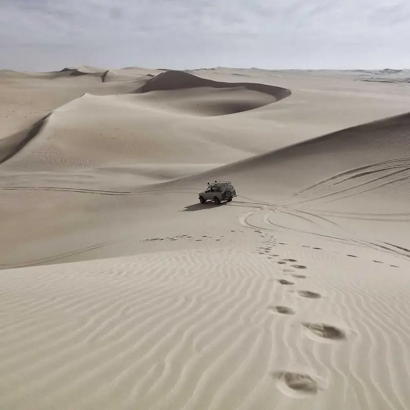 Desert Dune — photo 3