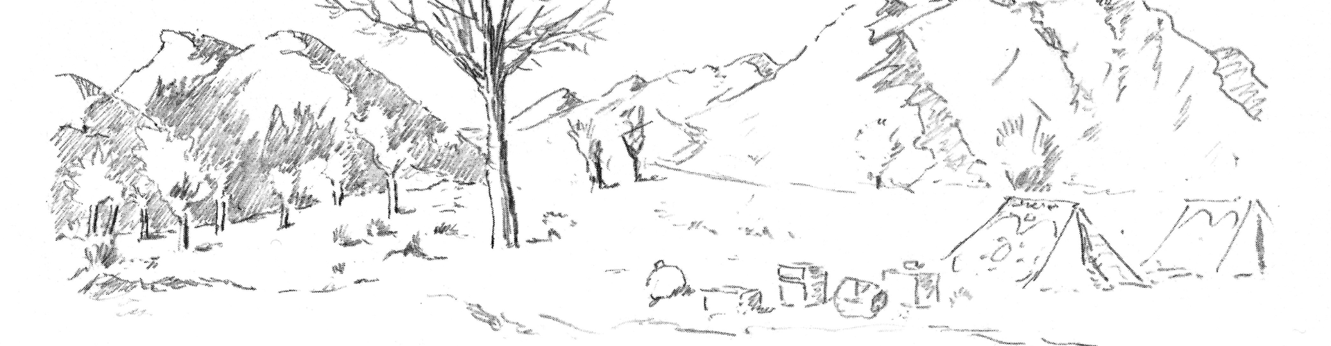 blog-feature-image