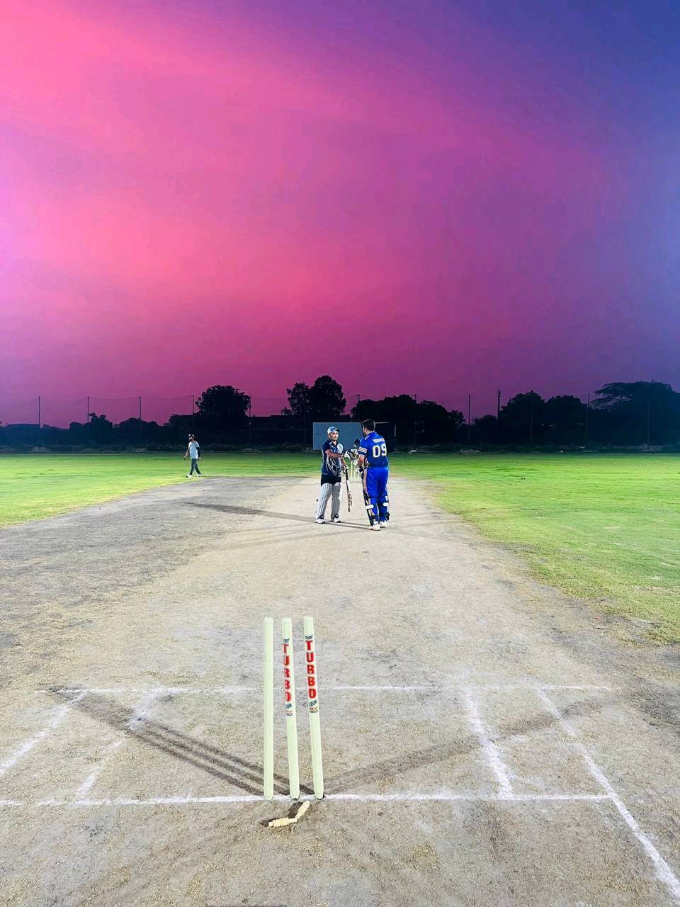 A Serene Night and Cricket Adventures