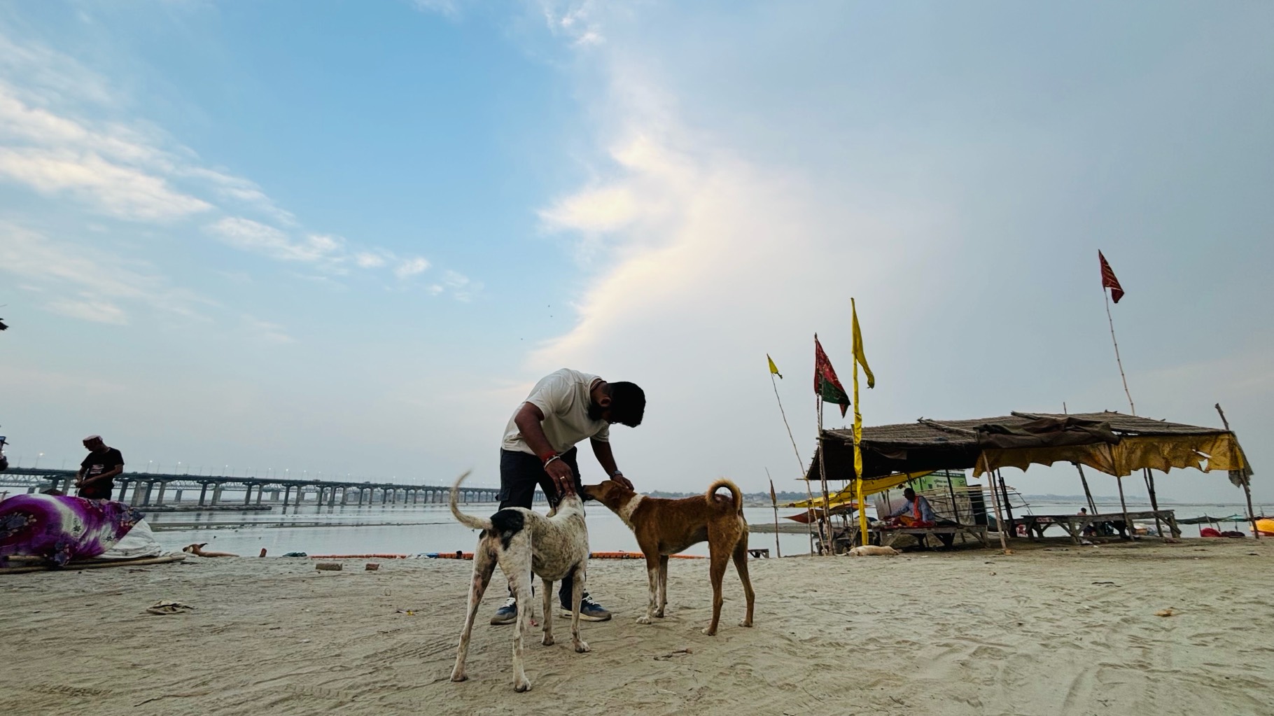 A Spiritual Sojourn in Varanasi: Dogs, Ghats, and Night Ceremonies
