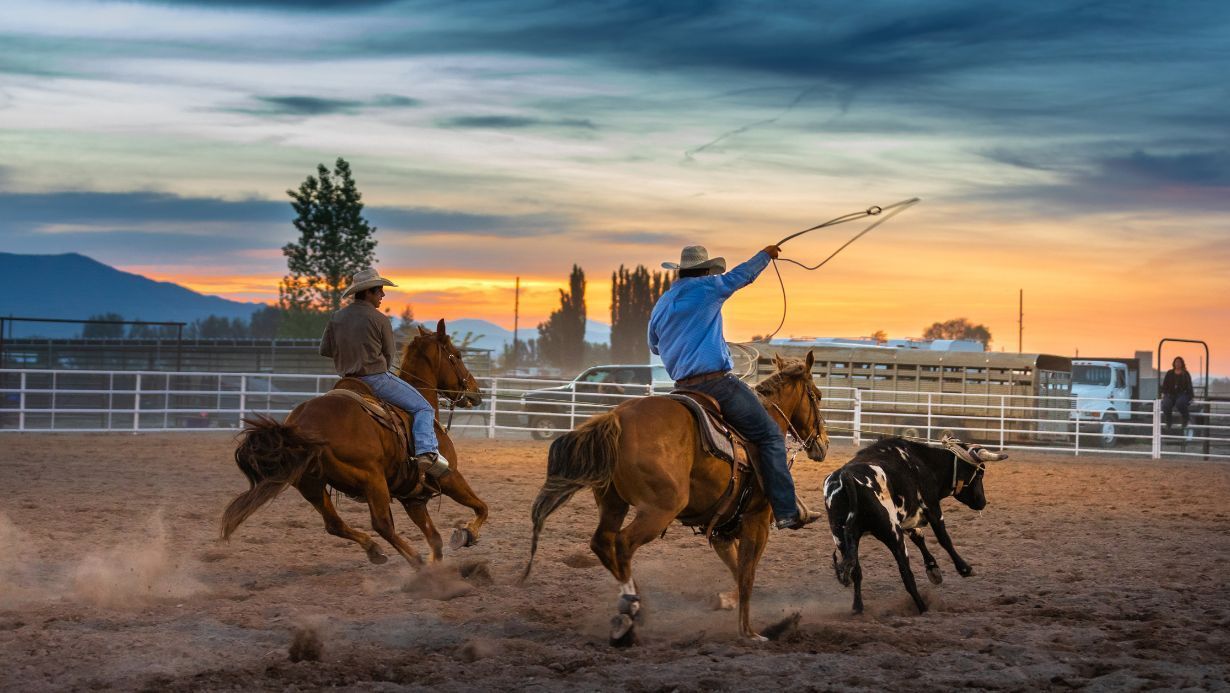 Top 6 Must-Attend Rodeos in the Northwest