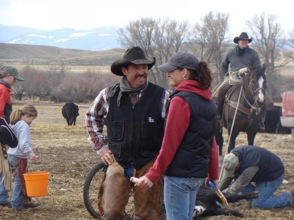 Ranching In Montana