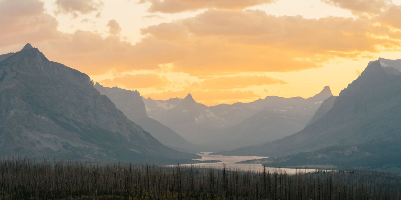 Elevating Your Real Estate Experience