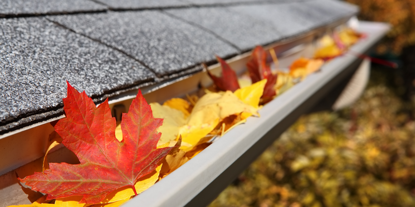 Top 7 Home Issues to Address