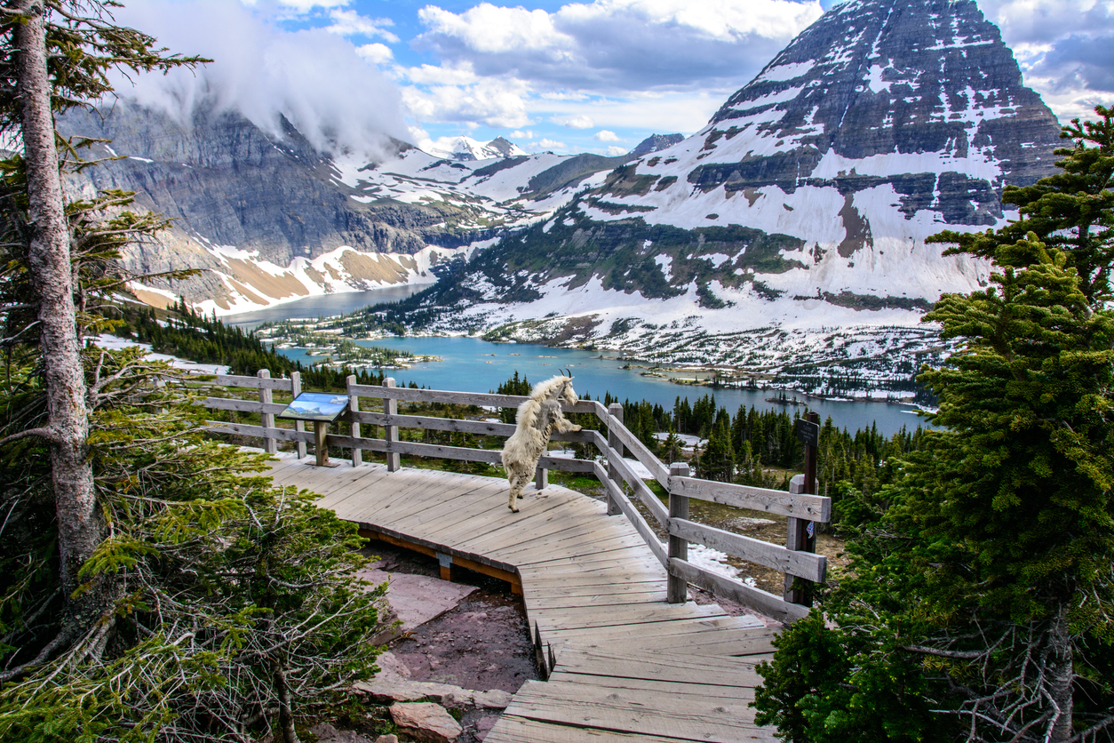 Best Easy Hikes in Montana: 5 Must-See Trails