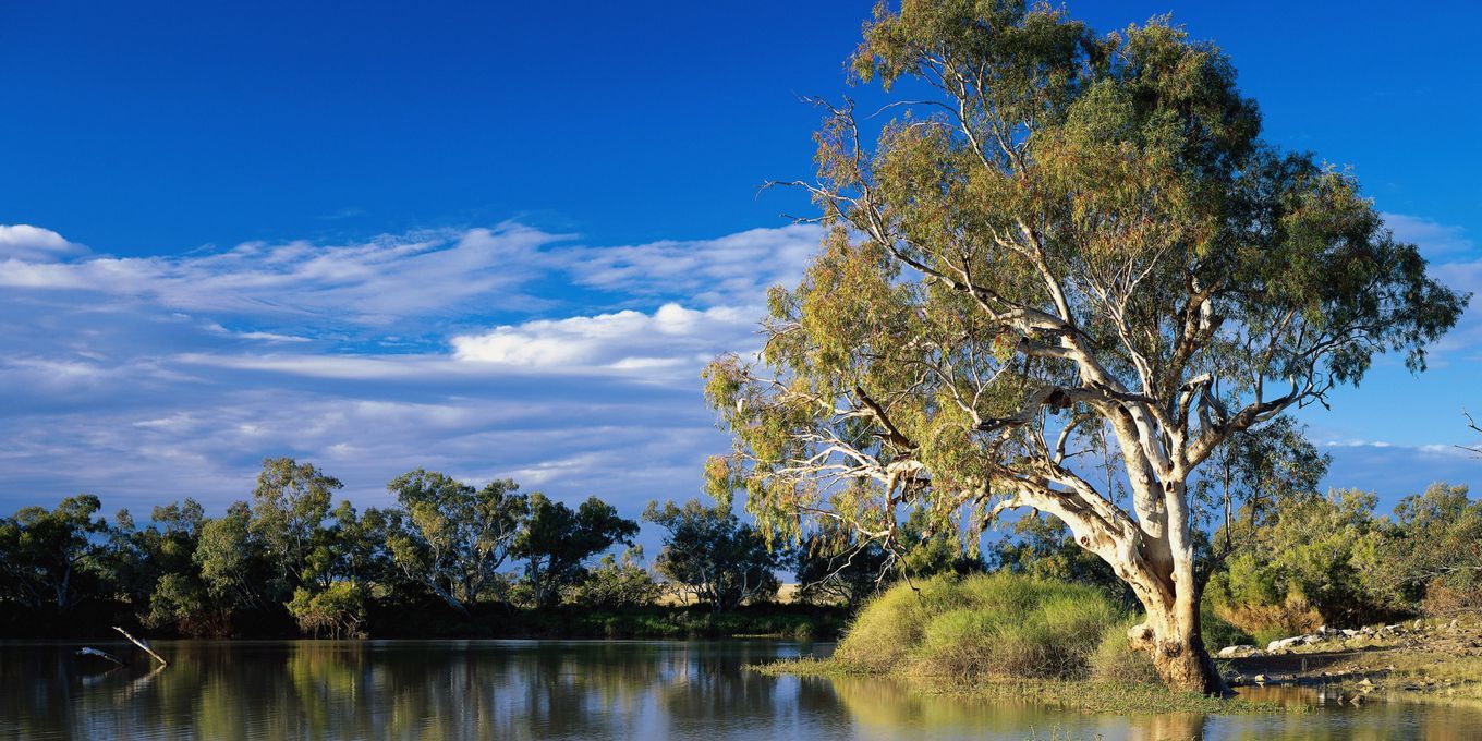 Benefits of Conservation Easements