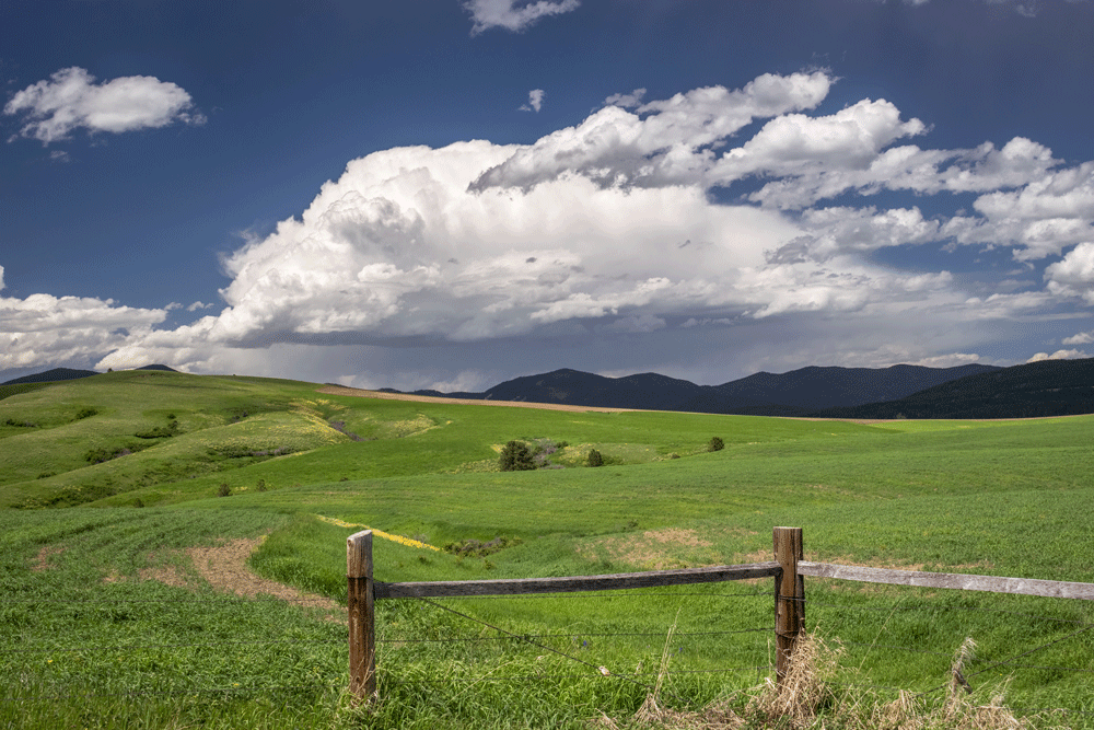 5 Must-Do Activities in Lewistown, MT