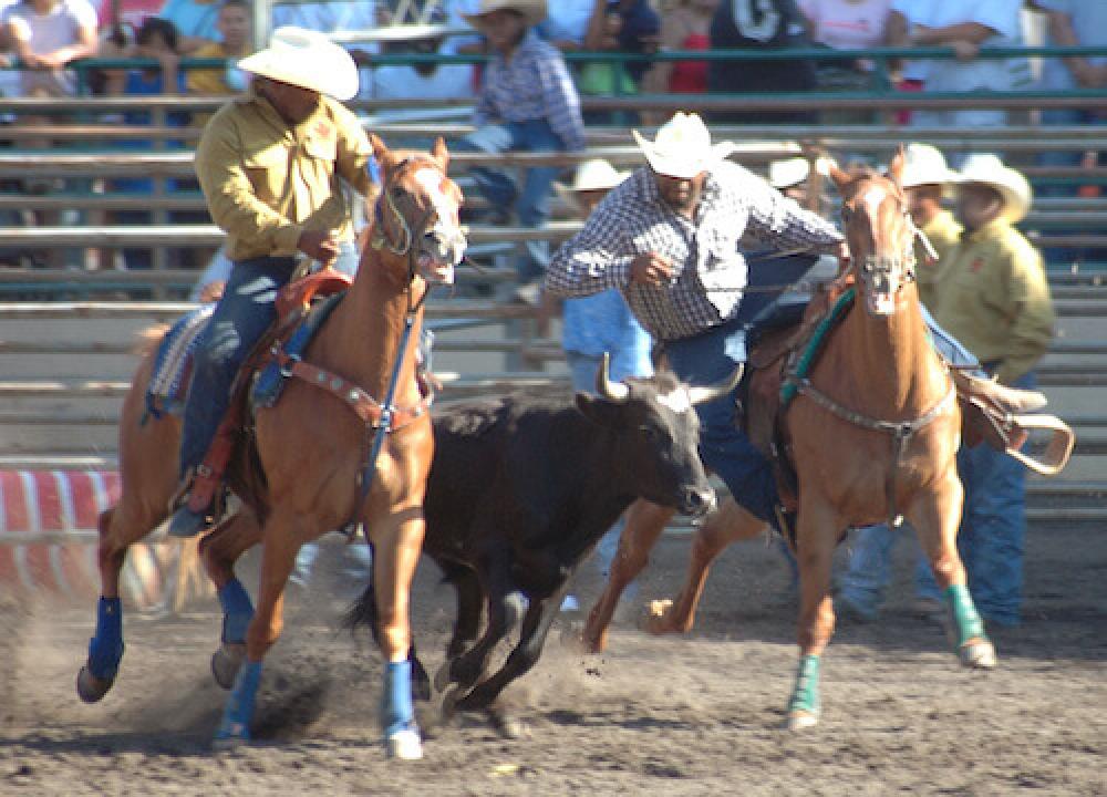 2021 Rodeo Schedule