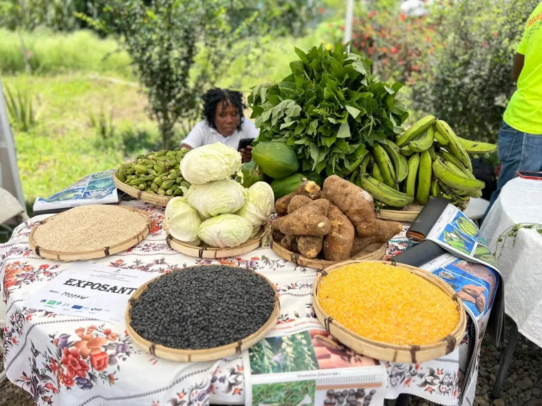 Foires gastronomiques pour la Journée de l'Agriculture et du Travail en Ayiti