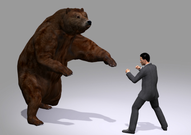 Bear Fight