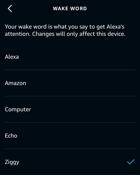 Wake Word