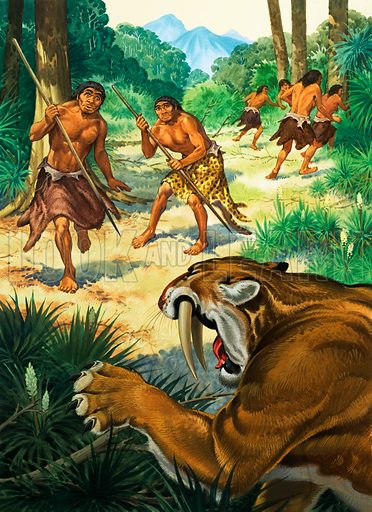 early humans vs sabretooth tiger