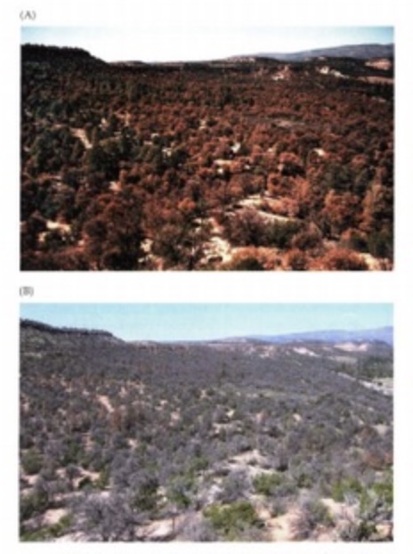 Las altas temperaturas