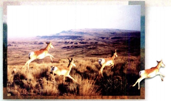 Conexión en la naturaleza