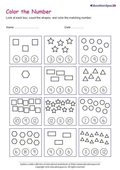 Color the Number