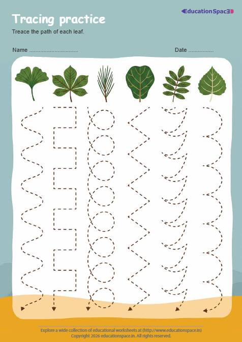 Tracing Practice: Path of Each Leaf 