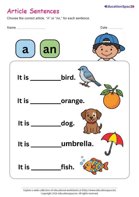 Article Sentences: Understanding 