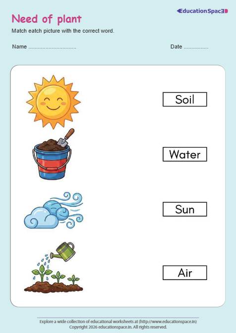 Plant Needs #1