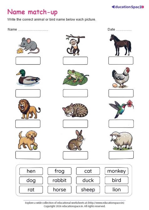 Animal and Bird Name Match-Up
