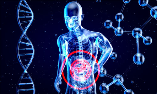 Curso Microbiota