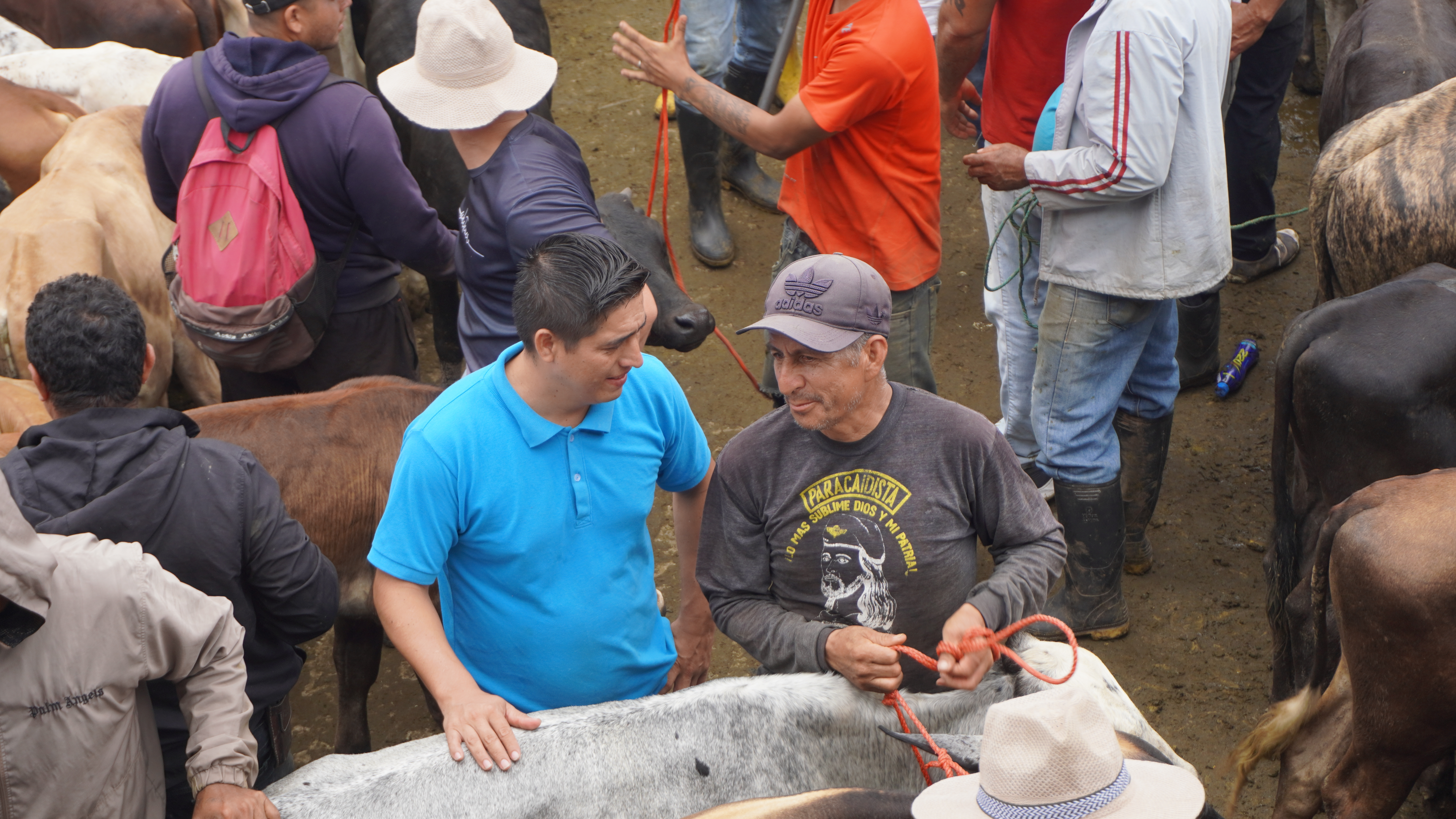 Galería feria ganadera Santo Domingo - Imagen 6