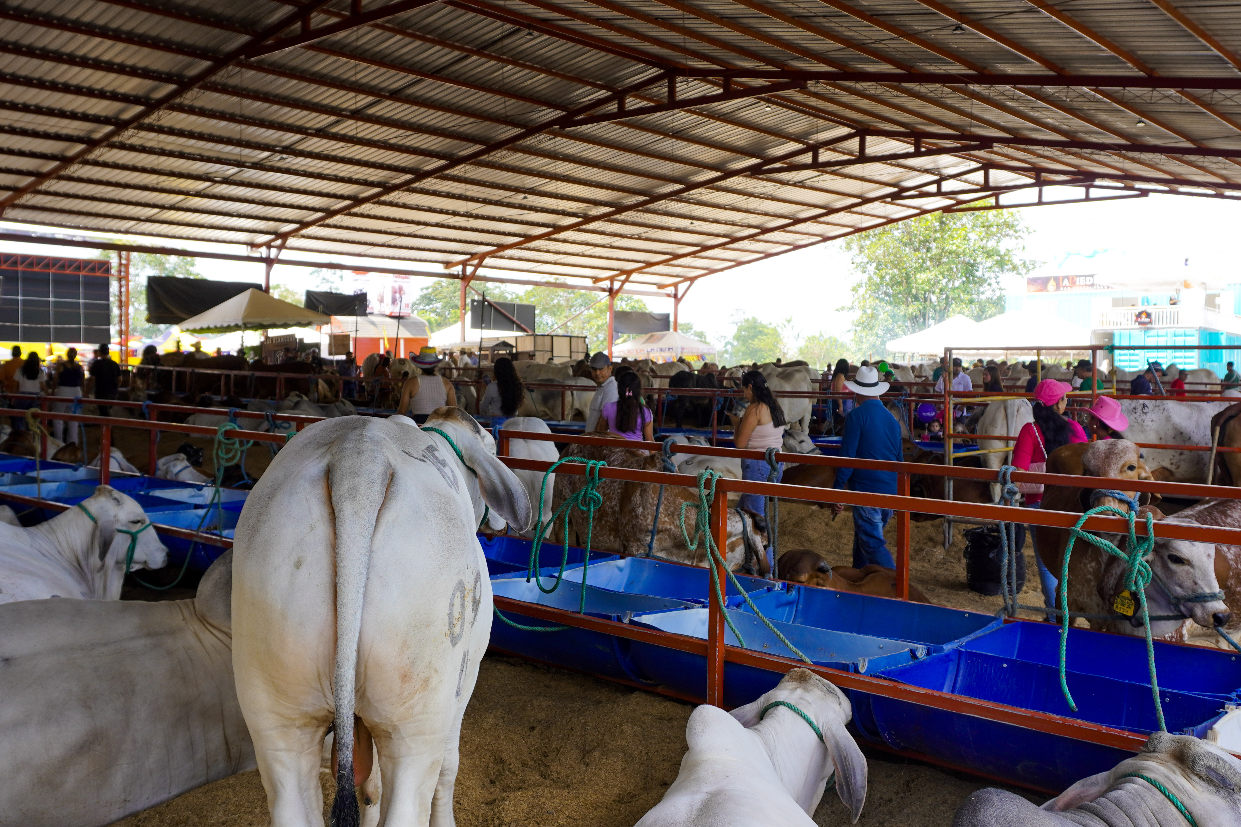 Galería Expogan Santo Domingo - Imagen 1