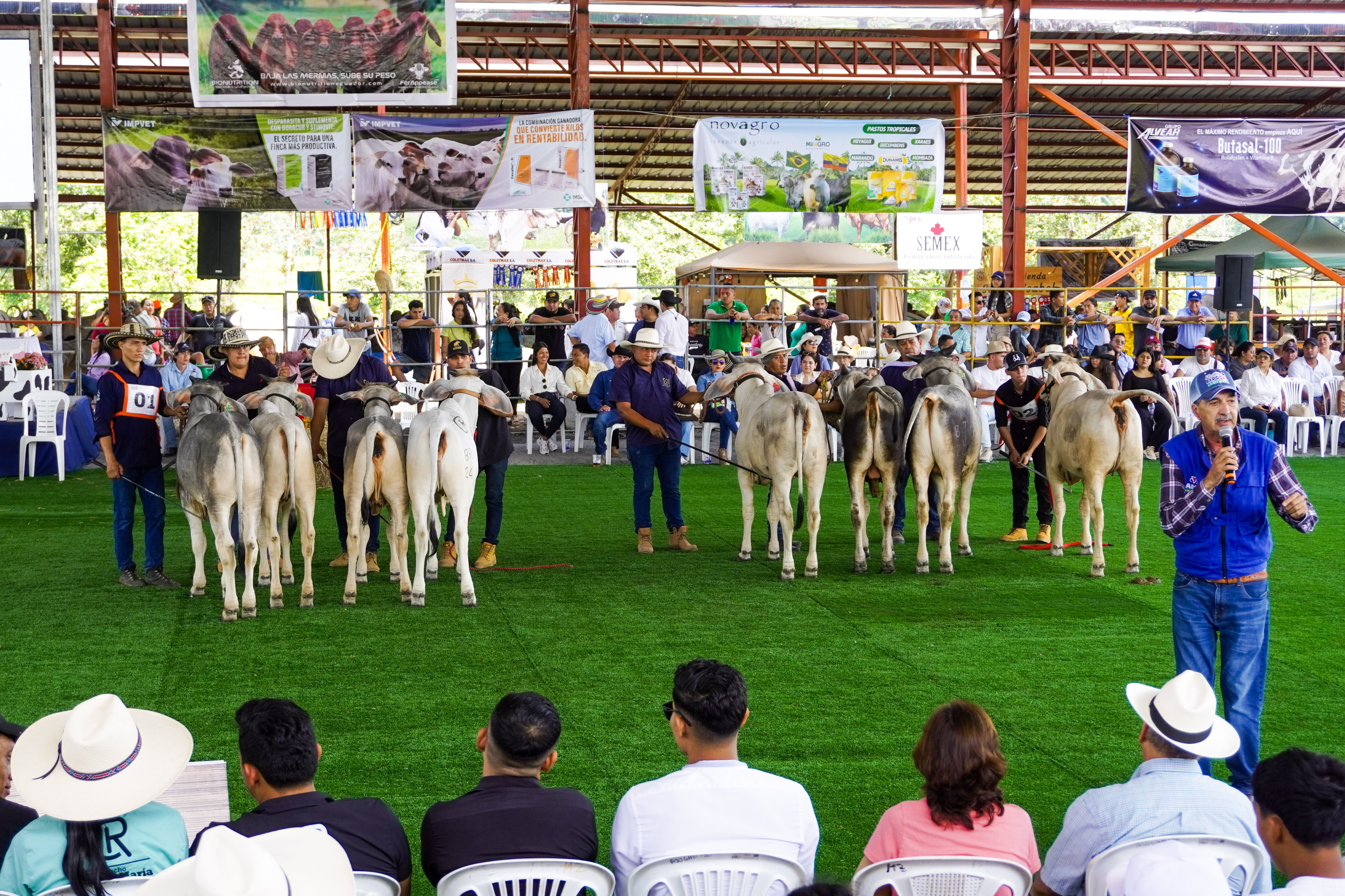 Galería Expogan Santo Domingo - Imagen 2