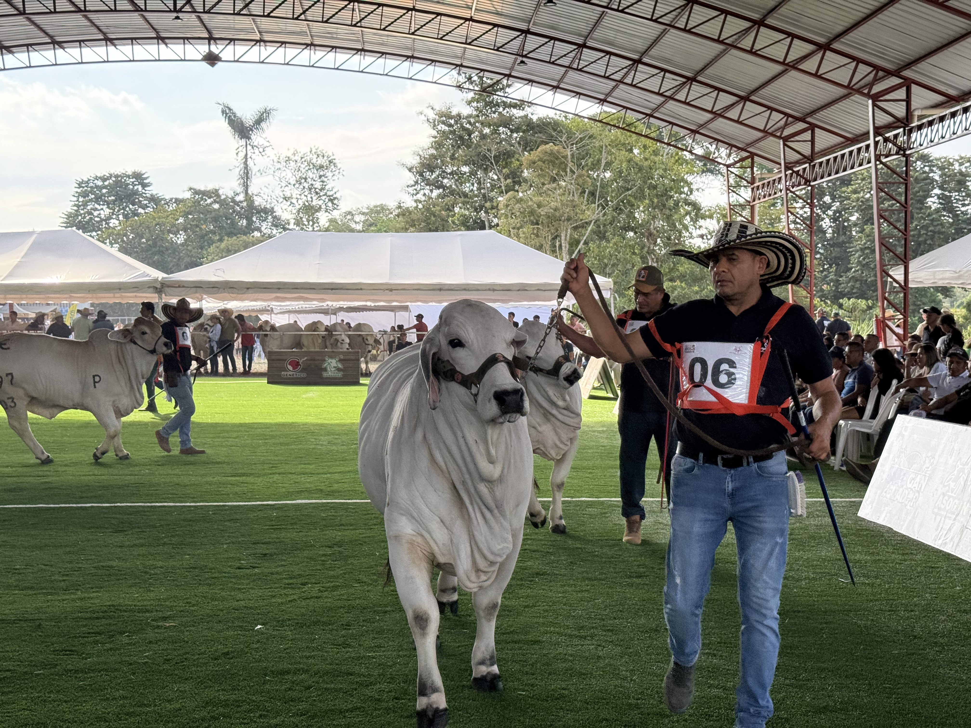 Galería Expogan Santo Domingo - Imagen 4