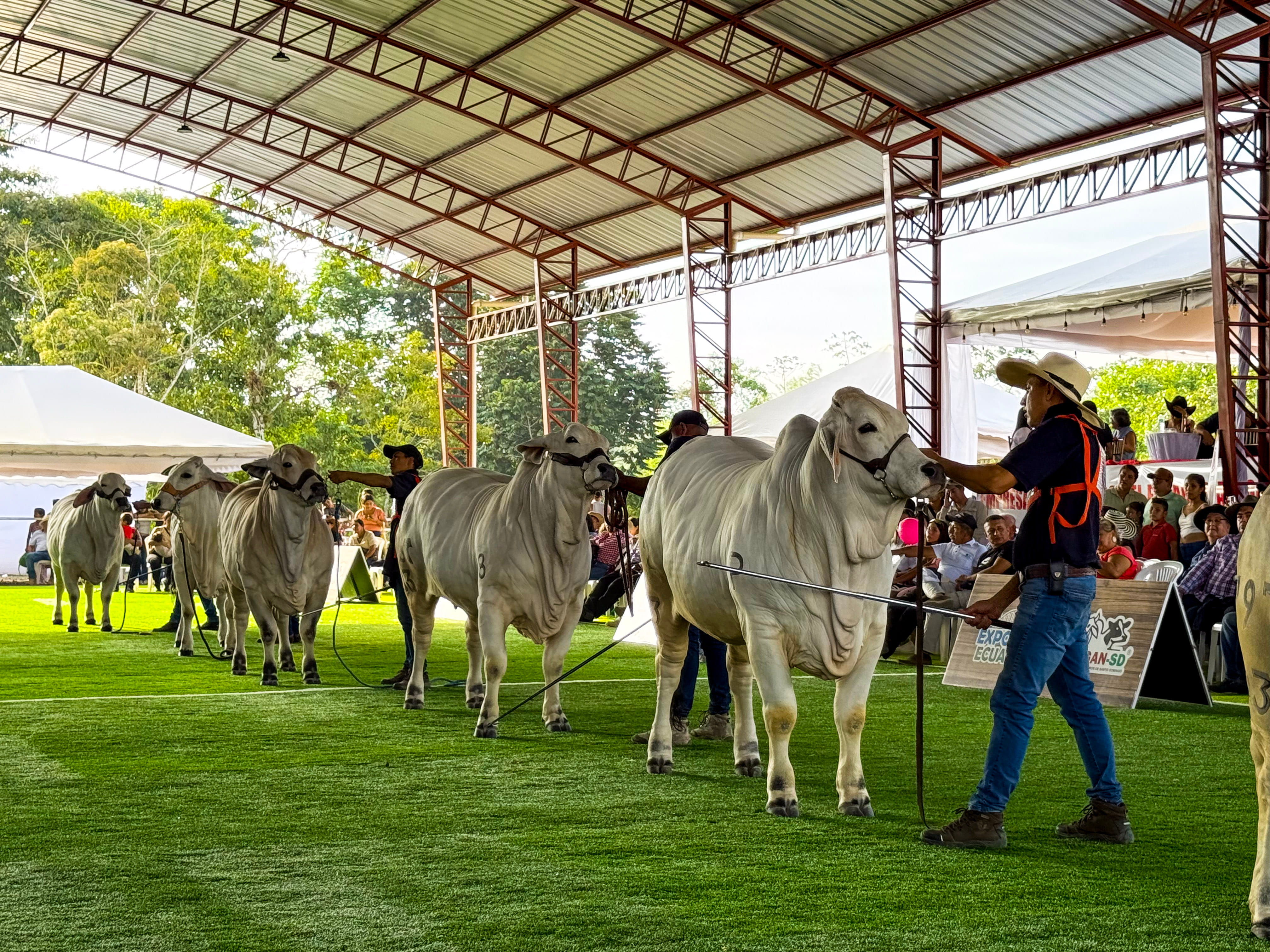 Sección EXPOGAN - EGE ASOGAN SD