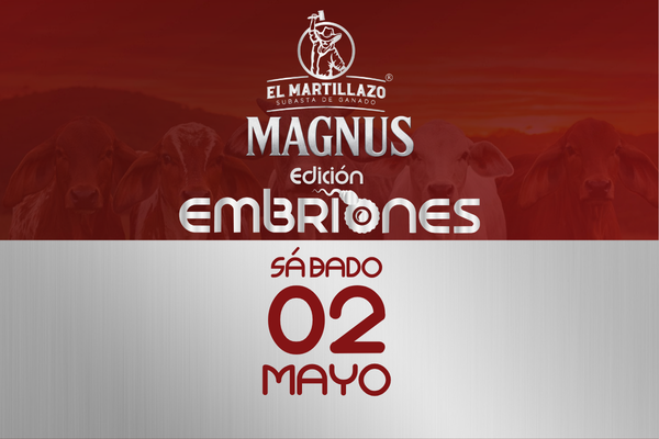 SUBASTA MAGNUS EDICIÓN EMBRIONES