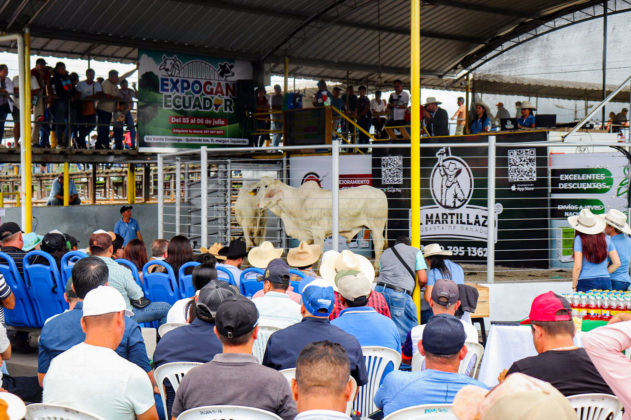 Proceso de Subasta - Galería El Martillazo