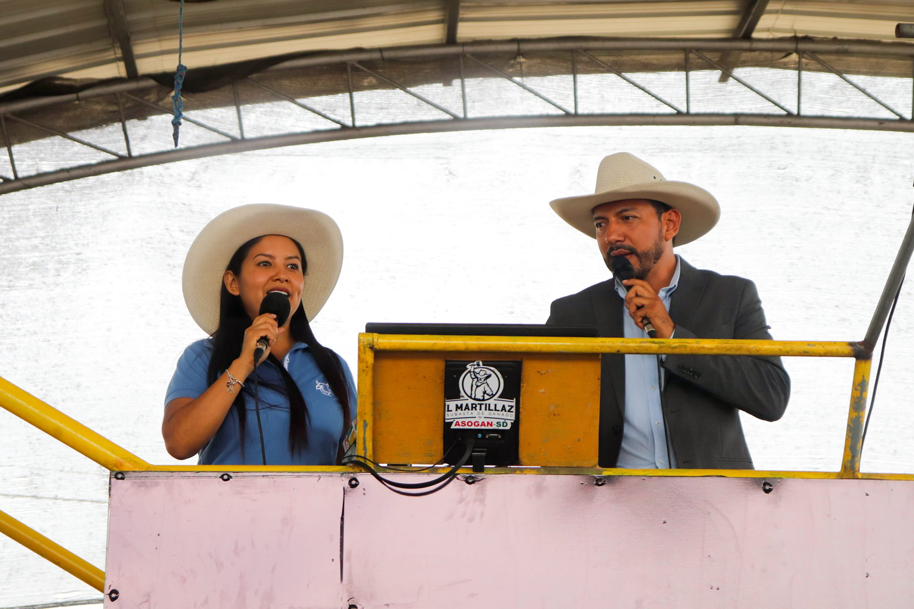 Pesaje Profesional - Galería El Martillazo