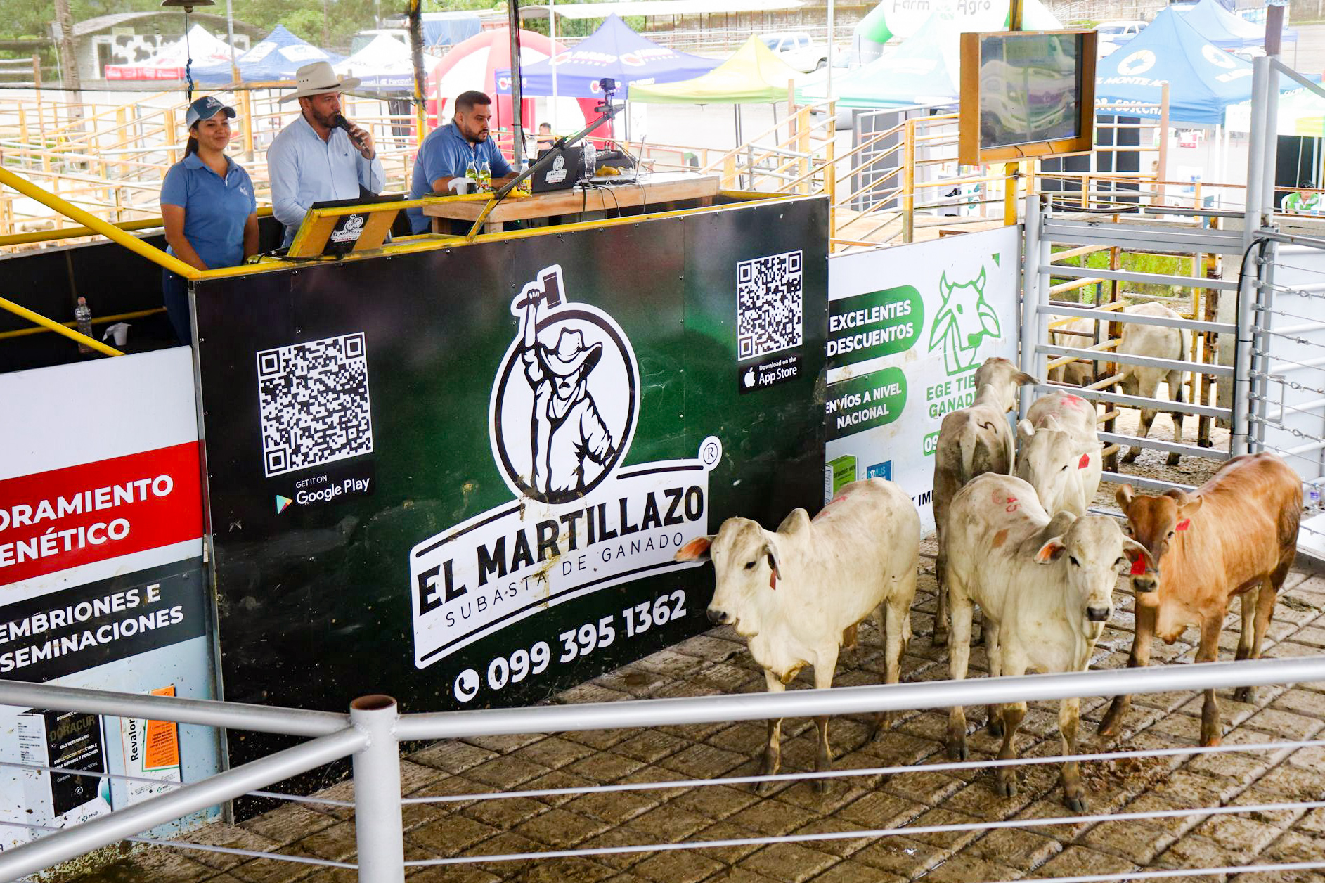 Modernización del Comercio Ganadero - EGE