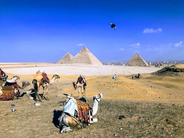 Giza, Saqqara & Dahshur Pyramids Day Tour