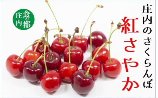 sd1_aa29dbc558fdb26039b80275cc4db0101317161b.jpg