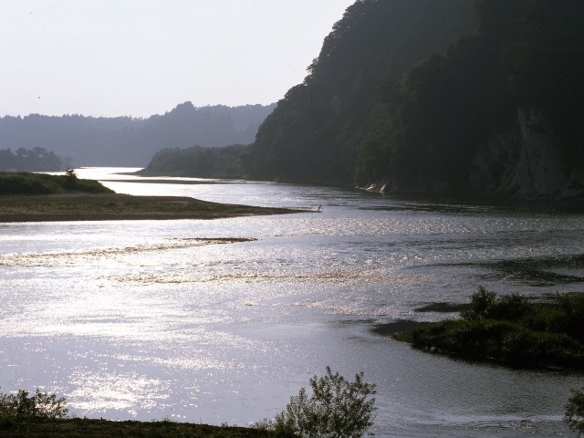 2311_2_m.jpg