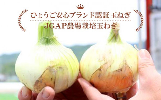 sd2_97a81c4e713892cf697211dd0e46736c039af037.jpg