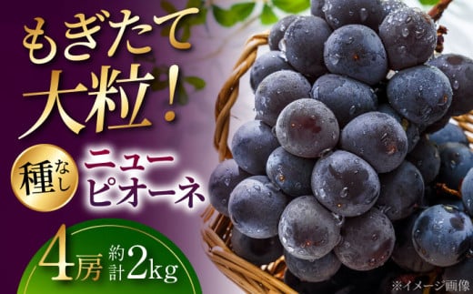 sd1_a75ec39956996a67eb294daba76a520c5e924a71.jpg