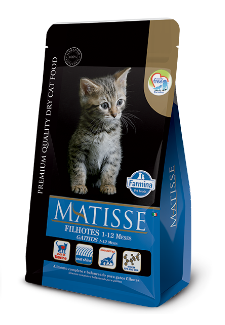 2kg Matisse Gatitos