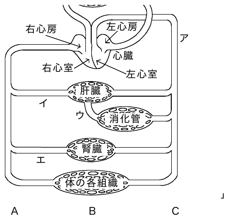 2011年4月 問36 の図 1
