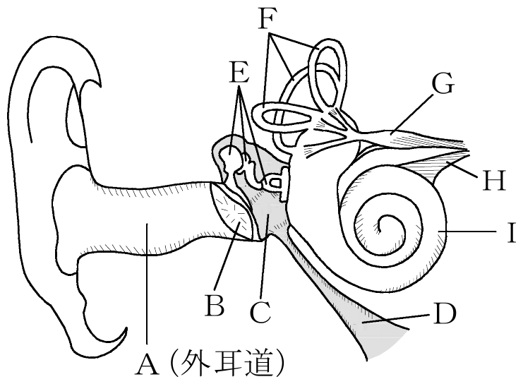 2013年4月 問43 の図 1