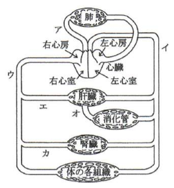 2015年4月 問37 の図 1