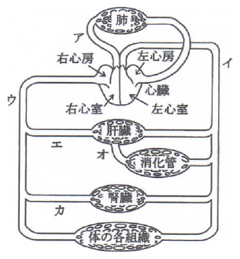2016年4月 問36 の図 1