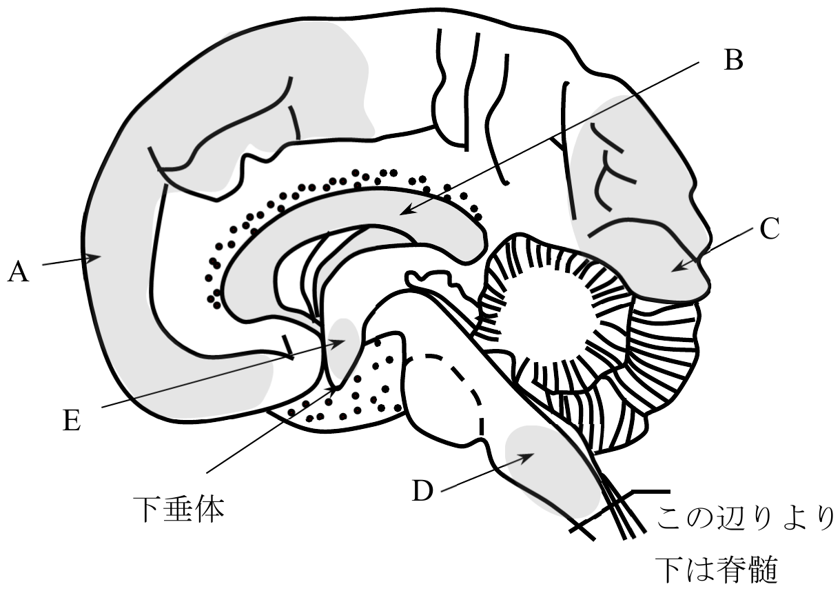 2023年4月 問37 の図 1